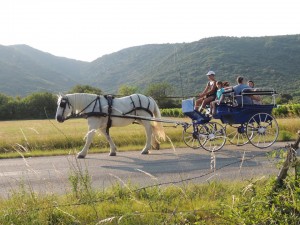 Ballade en Calèche