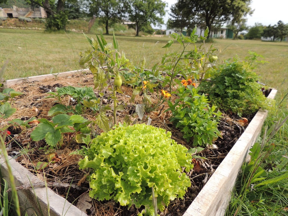 potager en carré