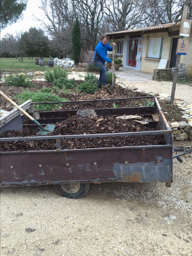 compost des feuilles de chênes