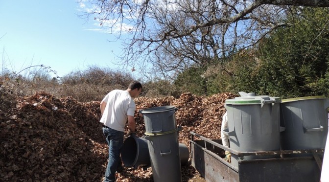 compost des feuilles de chênes