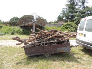 bois mort permettant de reconstituer le milieu naturel - permaculture au camping