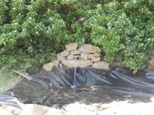 Et la gargouille alimente la mare avec l'eau des salades ! - permaculture au camping