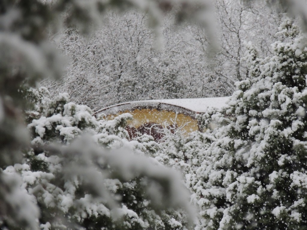 année 2016 en images