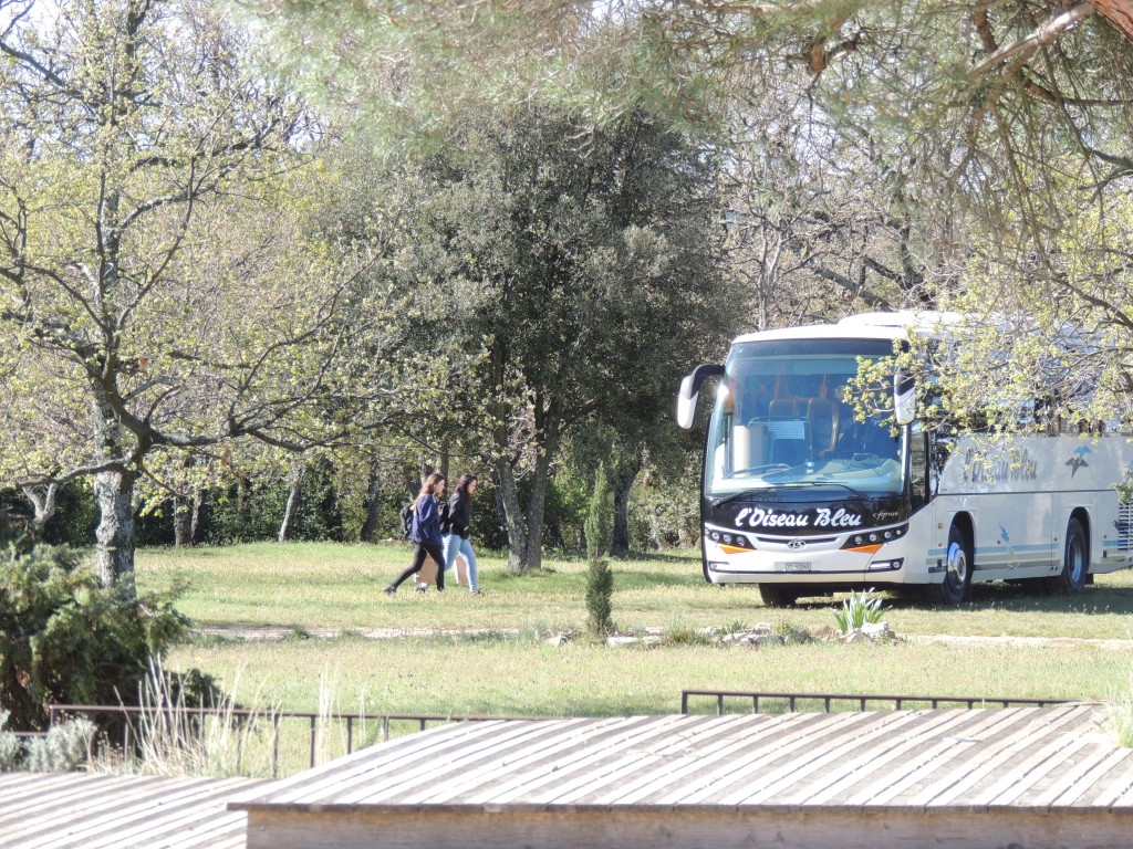 année 2016 en images