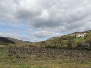 Vallée de la Nègue