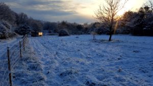 neige à briange