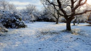 neige à briange