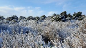 neige à briange