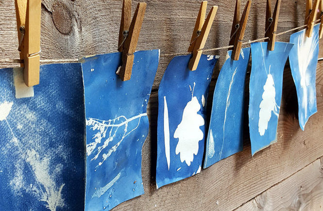 Atelier cyanotype - Le blog écolo du Domaine de Briange