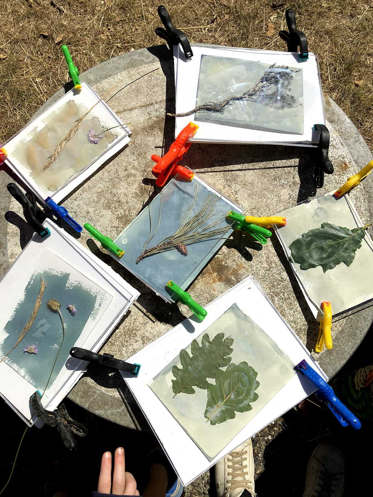 Faire des cyanotypes, créer avec le soleil (partie 1)