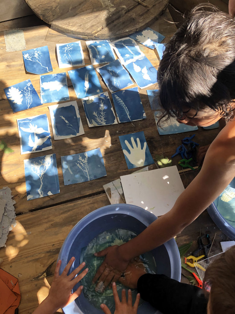 atelier cyanotype