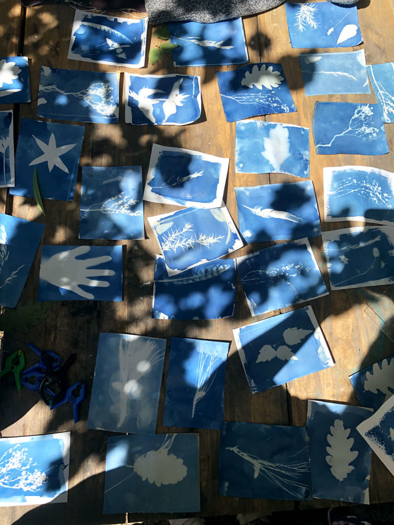 cyanotype