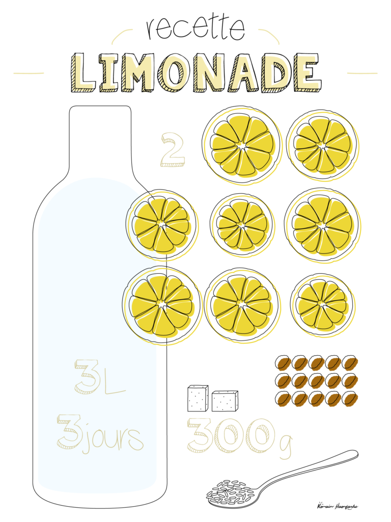 recettes de limonade maison au citron