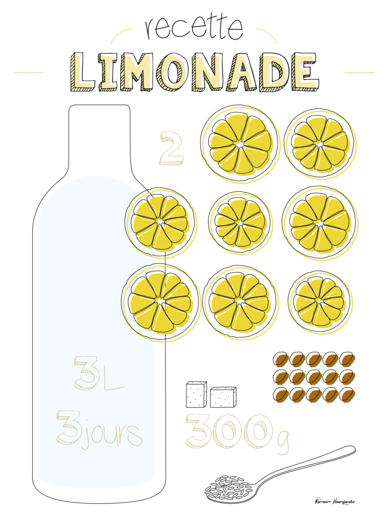 2 Recettes De Limonade Maison Le Blog