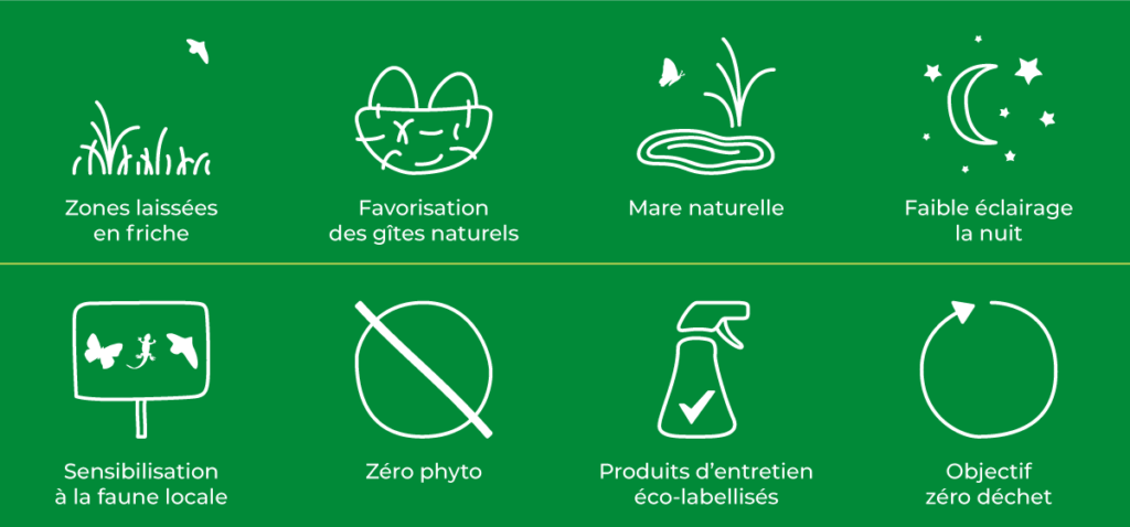 camping écologique et actions en faveur de la biodiversité