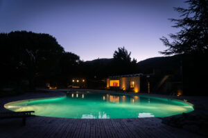 animations nature 2026